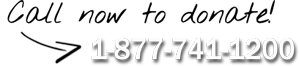 Call Now to Donate